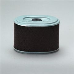 DONALDSON P786889 AIR FILTERS