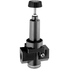 DIXON VALVE & COUPLING R30-06R PRESSURE REGULATORS