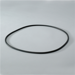 DONALDSON P017335 GASKETS