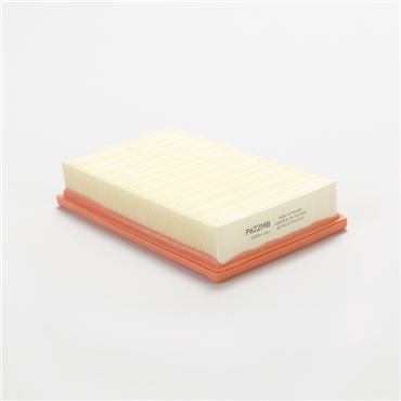 DONALDSON P622148 AIR FILTERS
