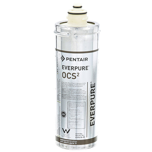 PENTAIR EV961802 CARTRIDGE WATER FILTERS
