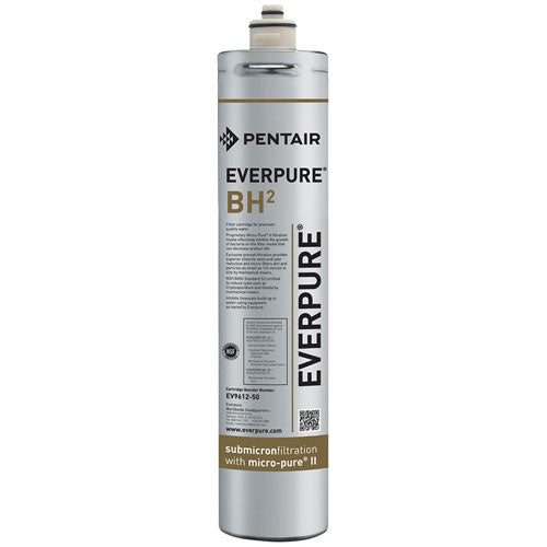 PENTAIR EV961250 CARTRIDGE FILTERS