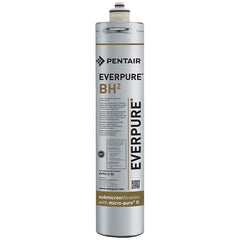PENTAIR EV961250 CARTRIDGE FILTERS