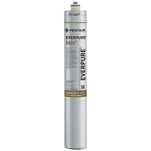 PENTAIR EV961321 CARTRIDGE WATER FILTERS