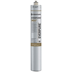 PENTAIR EV961321 CARTRIDGE WATER FILTERS