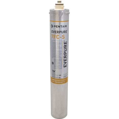 PENTAIR EV969271 CARTRIDGE FILTERS
