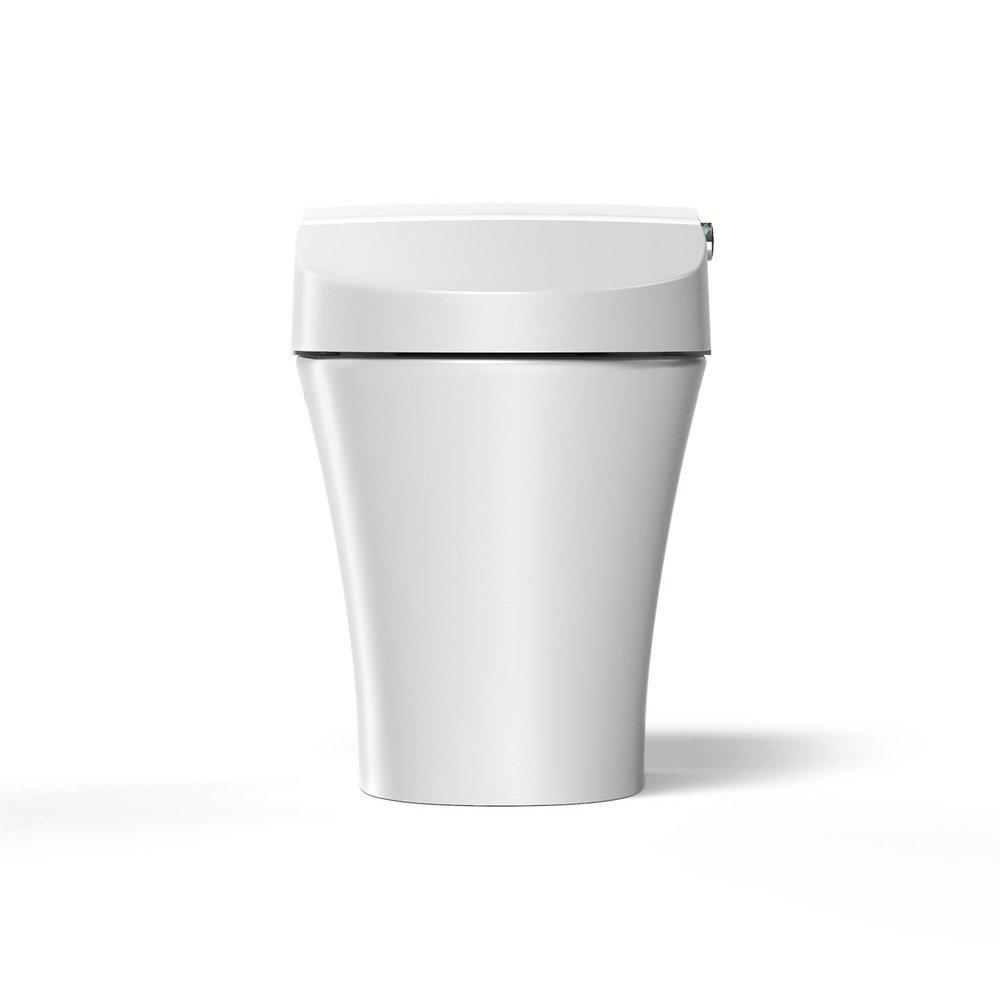 AMERICAN STANDARD American Standard 297AA204-291 Advanced Clean 100 SpaLet 0.92 gpf/1.32 gpf Elongated Dual Flush One Piece Toilet in Alabaster White
