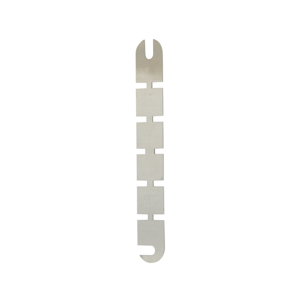 BUSSMANN LKS-100 FUSES