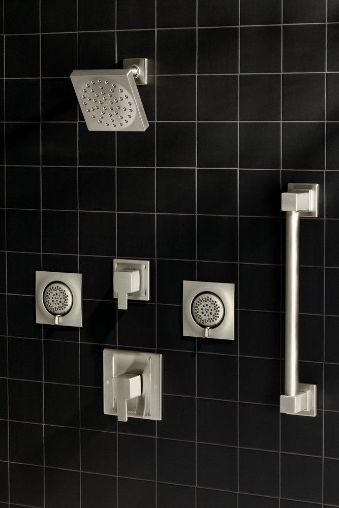 MOEN Moen TS1420BN TS1420 Series 2 gpm Showerhead in Brushed Nickel