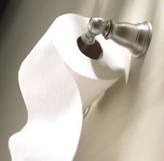 MOEN Moen YB5408BN Kingsley Pivoting Wall Mt Paper Holder in Brushed Nickel