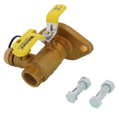 Webstone 40413 3/4 IPS Isolator Flange with Drain