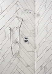 DELTA FAUCET Delta Faucet 57085 Compel Single Function Hand Shower in Chrome