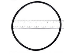 HAYWARD SPX4000S O-RINGS & GASKETS