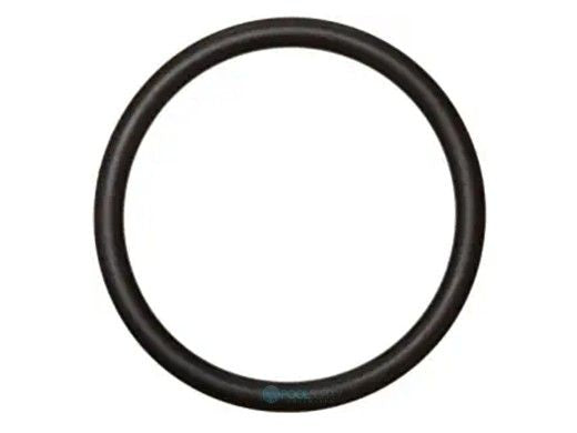 PENTAIR 35505-1318 O-RINGS & GASKETS