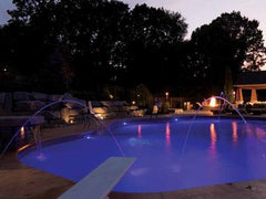 PENTAIR Pentair EC-620425 MicroBrite Color Pool and Spa LED Light | 12V 100 ft Cord | EC-620425