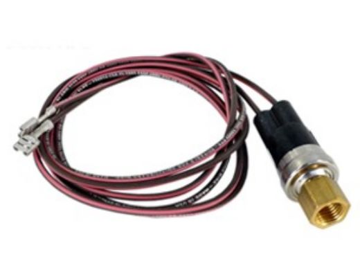 RAYPAK Raypak H000078 Low Pressure Switch
