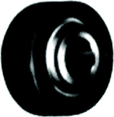 LAU 38244303 BEARINGS