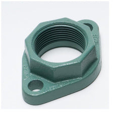 TACO Taco 110-252F 1 in. NPT Cast Iron Pump Flange for 110/2400 Series and All Small 00E