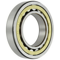 TRITAN NU224ECM/C3 BEARINGS