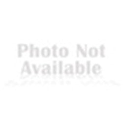 3M 7010350241 TERMINALS
