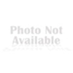 3M 7010350241 TERMINALS