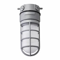 ACUITY BRANDS Acuity Brands OLVTCMM6 Lithonia LED Vapor Tight Ceiling Mount