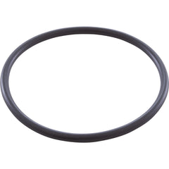 ZODIAC Zodiac W151211 O-Ring - Electrode