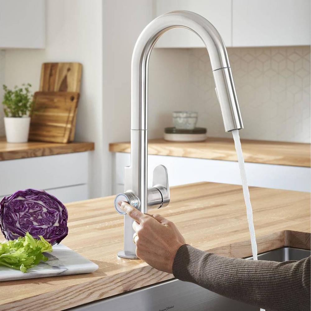 AMERICAN STANDARD American Standard 4931360.075 Beale Single Handle Pull Down Kitchen Faucet 1.5 gpm