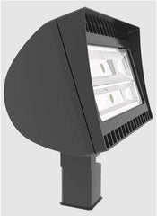 RAB FXLED150SF LIGHTING, CONTROLS & ACCESSORIES