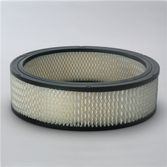 DONALDSON P524355 AIR FILTERS