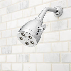 SPEAKMAN Speakman S-2005-H Hotel Multi Function Showerhead in Polished Chrome