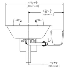 Speakman SE-582 Traditional Series 3.6 gpm Stainless Steel Eyewash Wall Mount Bowl in Stainless Steel