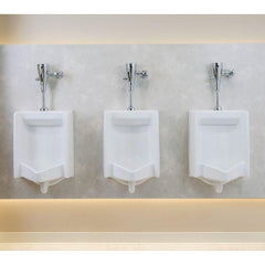 MOEN Moen 8312AC10 M-POWER Exposed Urinal Flush Valve in Chrome