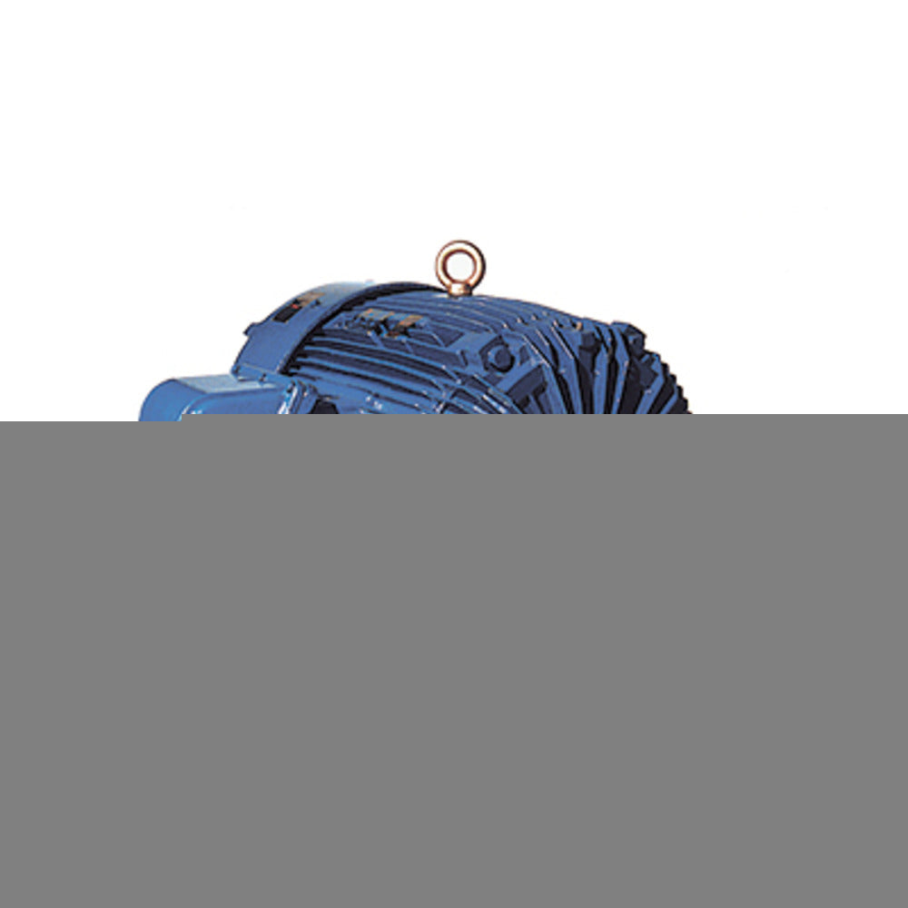 TECO XP0024 EXPLOSION PROOF MOTORS