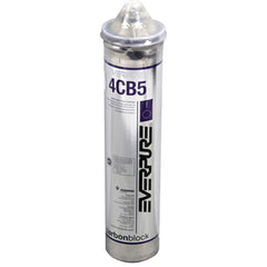 PENTAIR EV961716 CARTRIDGE FILTERS
