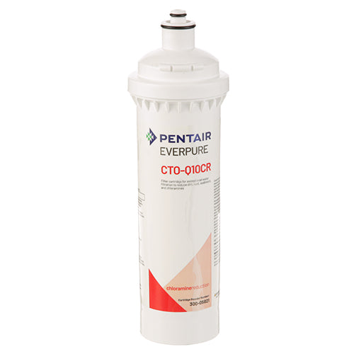 PENTAIR 300-05835 CARTRIDGE WATER FILTERS