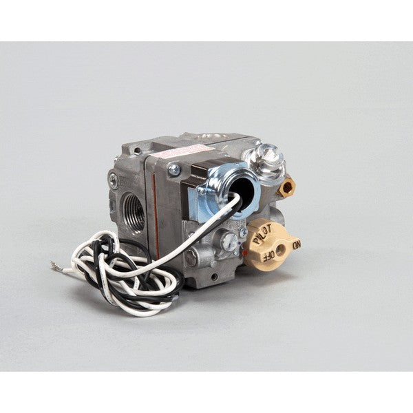 ANETS P5045651 GAS VALVES