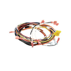 AJ ANTUNES 700975 CONTROL BOARDS