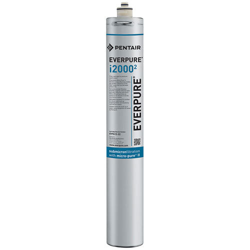 PENTAIR EV9612-21 CARTRIDGE WATER FILTERS