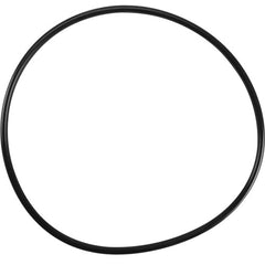 PENTAIR 143273 O-RINGS & GASKETS