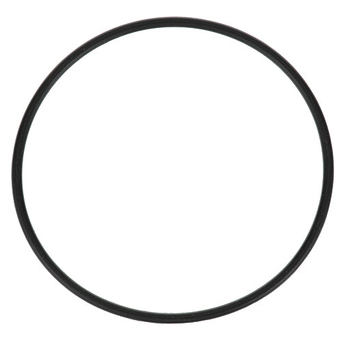 PENTAIR 3071-19 O-RINGS & GASKETS