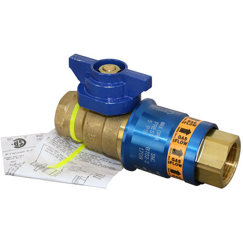 DORMONT CF-100 GAS VALVES