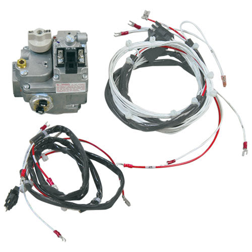 HOBART 00-913102-00127 GAS VALVES