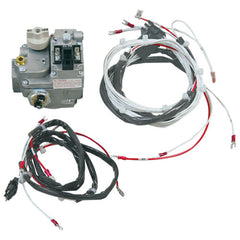 HOBART 00-913102-00127 GAS VALVES