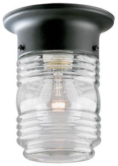 WESTINGHOUSE 6691900 LIGHTING, CONTROLS & ACCESSORIES
