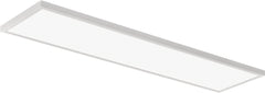 LITHONIA LIGHTING CPANL-2X4-ALO6-SWW7-M2 WORK LIGHTS & FLASHLIGHTS