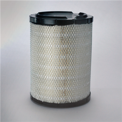 DONALDSON P527484 AIR FILTERS