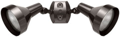 RAB H2A LIGHTING, CONTROLS & ACCESSORIES