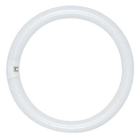 PHILIPS Philips 391169 Lamp Fluor Circline FC8T9/Cool Wht Plus 22W