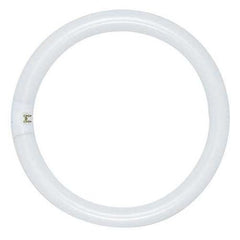 Philips 391169 Lamp Fluor Circline FC8T9/Cool Wht Plus 22W